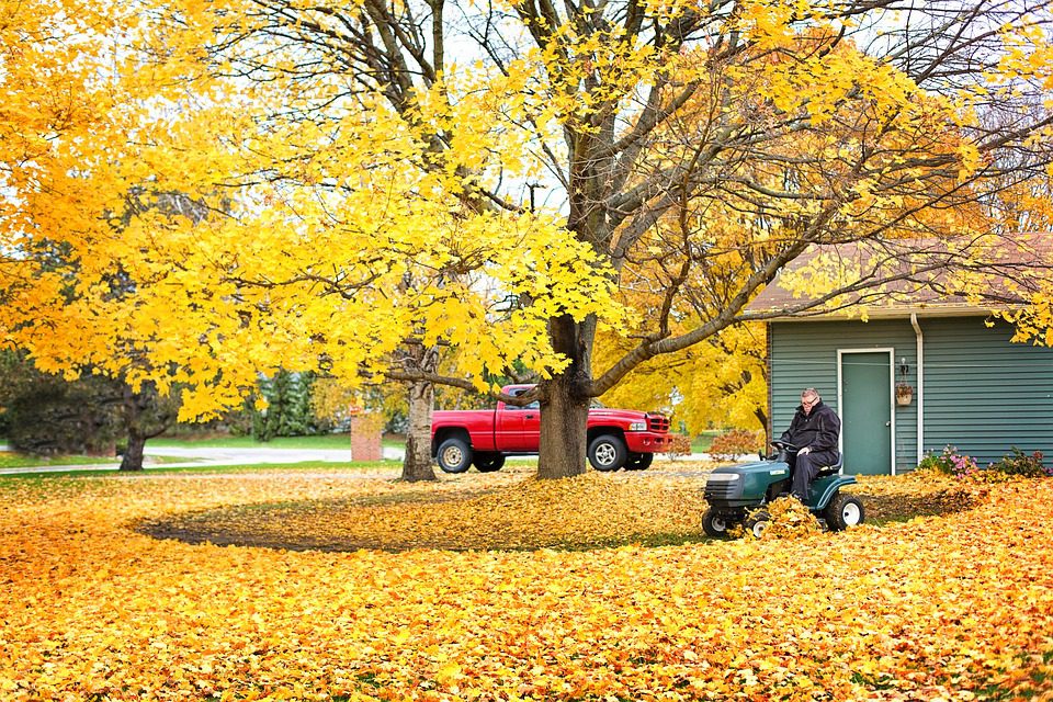 fall prep for your garden lawn and home long island